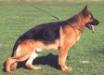 Small picture of VA1 Bax von der Luisenstra�e