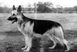 Small picture of VA Mutz aus der K�ckstra�e