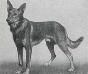 Small picture of VA J�rg Krone