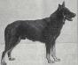 Small picture of VA Roland Park