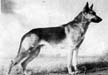 Small picture of VA Harras J�ch