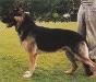 Small picture of VA Hanko von der Hetschm�hle
