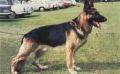 Small picture of VA Heiko von Oranien Nassau