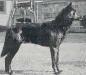 Small picture of VA Beowulf vom Nahegau