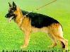 Small picture of VA1 Axel von der Hainsterbach